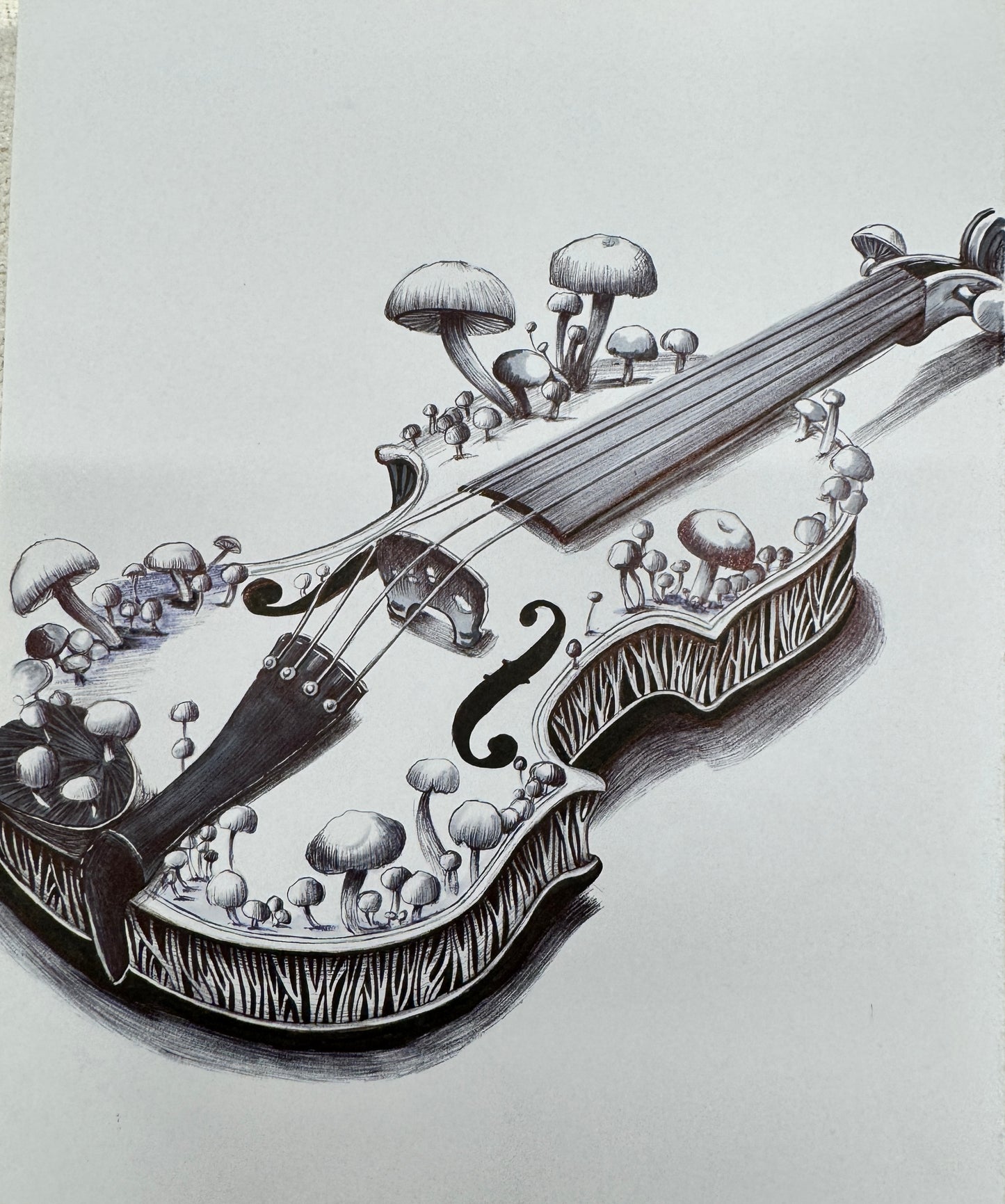 Violin