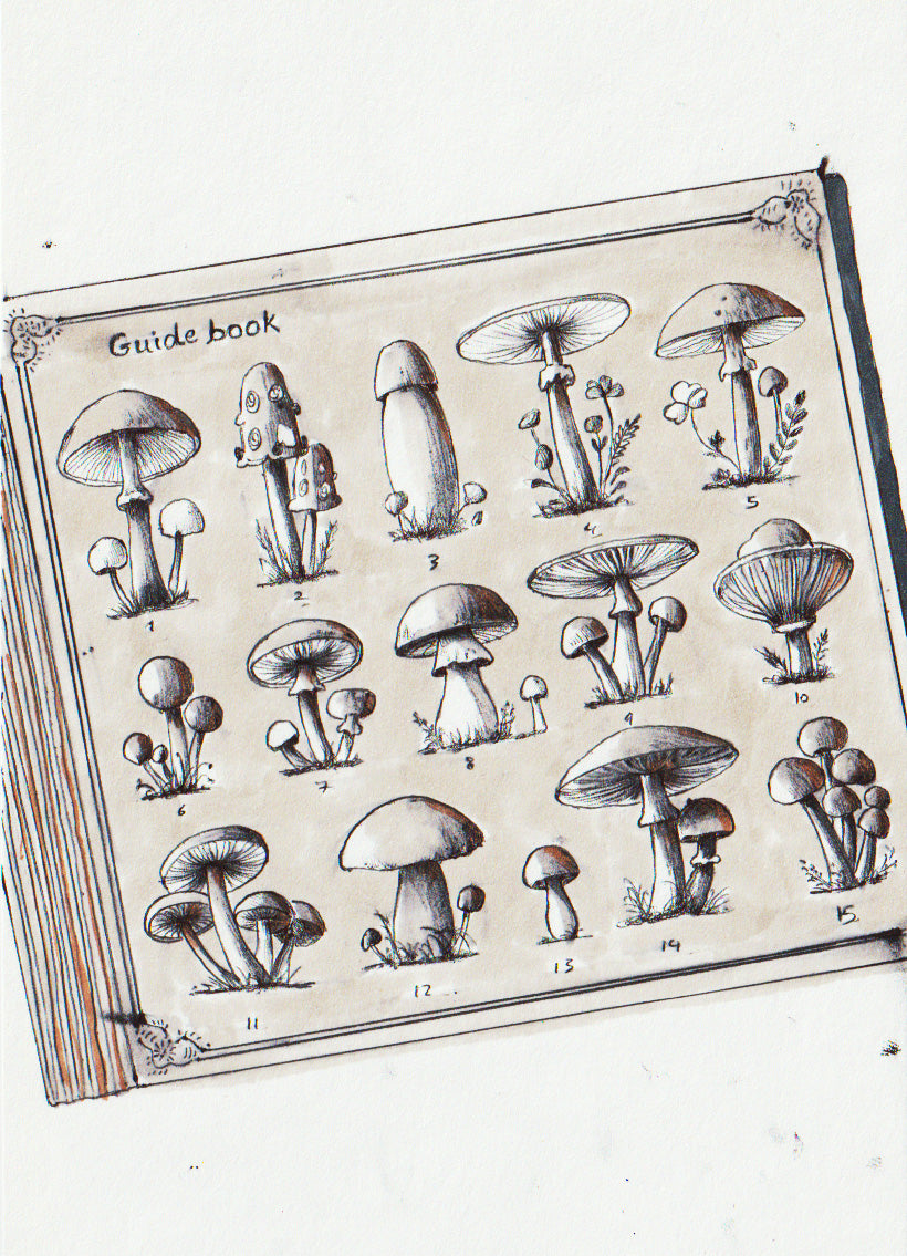 Guidebook