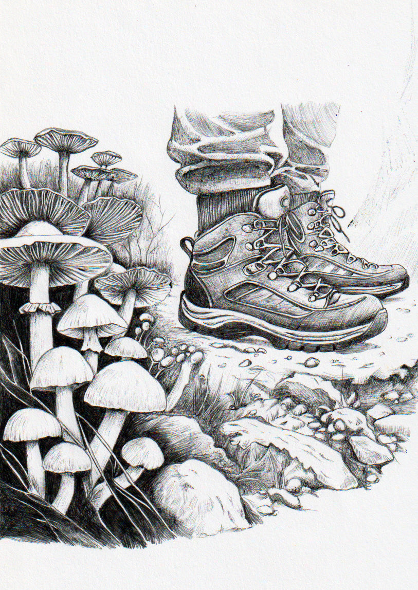 Hike