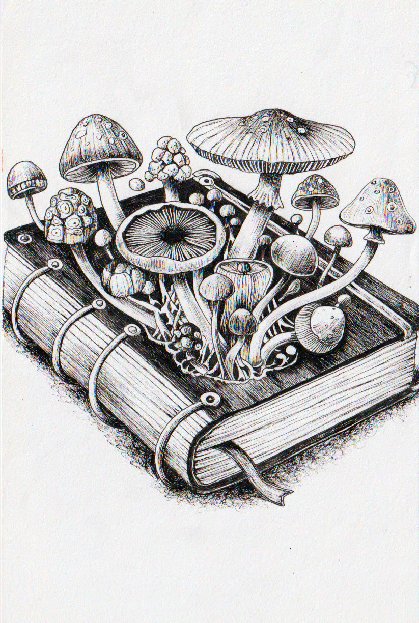 Journal
